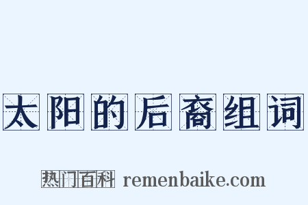 太阳的后裔组词是什么意思的图片